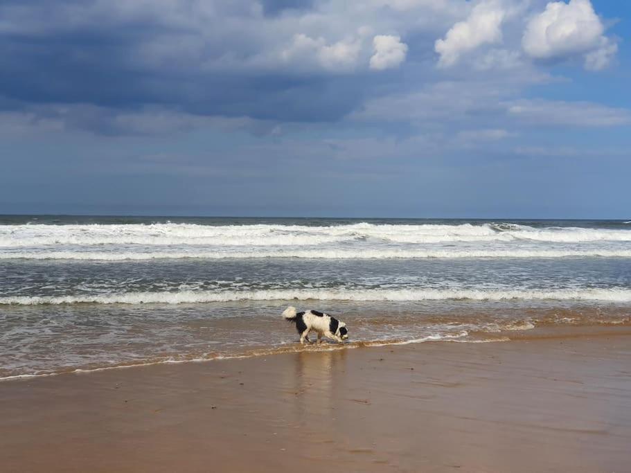 Sandstone Cottage Marske-by-the-Sea ภายนอก รูปภาพ